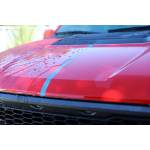 Vehicle Protection
