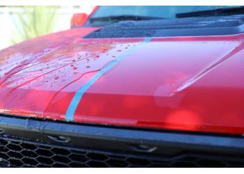 Vehicle Protection