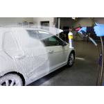Wax, Polish and Shampoo