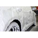 Wax, Polish and Shampoo
